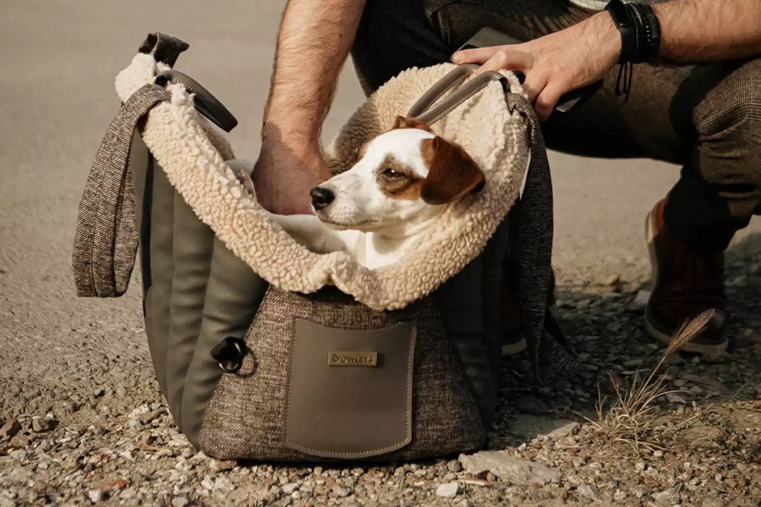 Dog Carrier Purse for Toy Fox Terrier